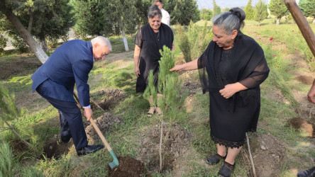 27 Sentyabr – Anım Günü əlaqədar olaraq ağacəkmə aksiyası keçirilib!