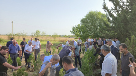 27 Sentyabr – Anım Günü əlaqədar olaraq ağacəkmə aksiyası keçirilib!