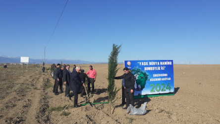 "Yaşıl dünya naminə həmrəylik ili" çərçivəsində Füzuli rayonunda ağacəkmə aksiyası davam edir