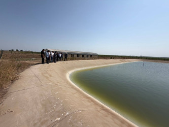 Aqrar sahənin inkişafı istiqamətində fermer və sahibkarlarla görüşlər davam etdirilir!