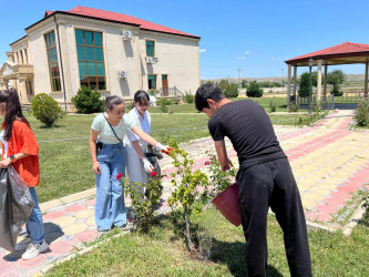 Horadiz şəhərində iməcilik keçirildi!