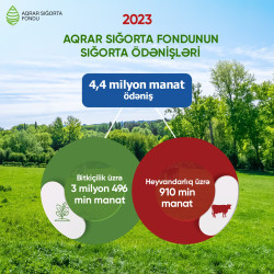 2023-cü ildə sığortalı təsərrüfatlara rekord məbləğdə aqrar sığorta ödənişi edilib!