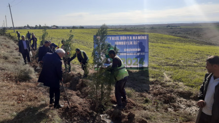 "Yaşıl dünya naminə həmrəylik ili" çərçivəsində Füzuli rayonunda ağacəkmə aksiyası davam edir