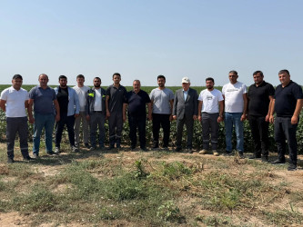 Aqrar sahənin inkişafı istiqamətində fermer və sahibkarlarla görüşlər davam etdirilir!