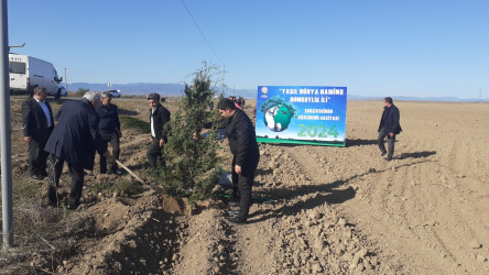 "Yaşıl dünya naminə həmrəylik ili" çərçivəsində Füzuli rayonunda ağacəkmə aksiyası davam edir