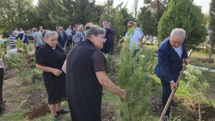 27 Sentyabr – Anım Günü əlaqədar olaraq ağacəkmə aksiyası keçirilib!