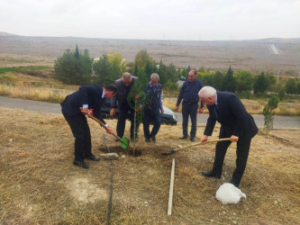 Füzuli rayonunda “Yaşıl dünya naminə həmrəylik ili” çərçivəsində ağacəkmə aksiyasına start verildi