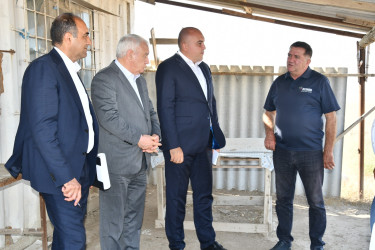 Füzuli rayonunda kənd təsərrüfatının inkişafı istiqamətində görülən işlərə dair monitorinq keçirilib!