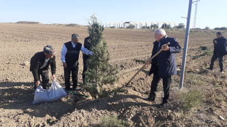 "Yaşıl dünya naminə həmrəylik ili" çərçivəsində Füzuli rayonunda ağacəkmə aksiyası davam edir