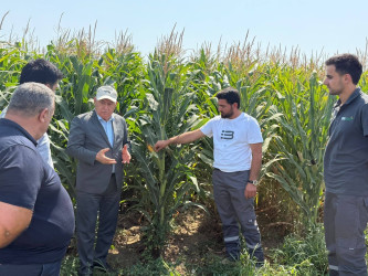 Aqrar sahənin inkişafı istiqamətində fermer və sahibkarlarla görüşlər davam etdirilir!