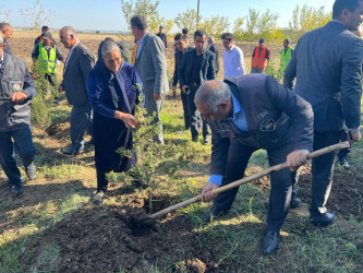 27 Sentyabr – Anım Günü münasibətilə ğacəkmə aksiyası keçirildi!