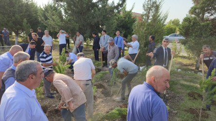 27 Sentyabr – Anım Günü əlaqədar olaraq ağacəkmə aksiyası keçirilib!