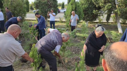 27 Sentyabr – Anım Günü əlaqədar olaraq ağacəkmə aksiyası keçirilib!