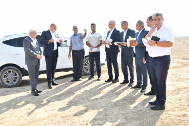 Füzuli rayonunda kənd təsərrüfatının inkişafı istiqamətində görülən işlərə dair monitorinq keçirilib!