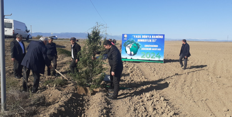 "Yaşıl dünya naminə həmrəylik ili" çərçivəsində Füzuli rayonunda ağacəkmə aksiyası davam edir