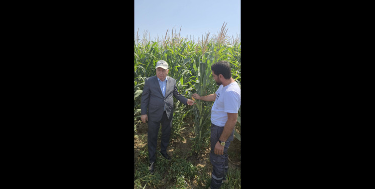 Aqrar sahənin inkişafı istiqamətində fermer və sahibkarlarla görüşlər davam etdirilir!