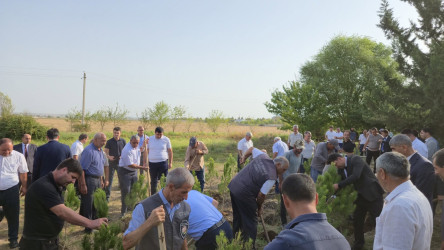 27 Sentyabr – Anım Günü əlaqədar olaraq ağacəkmə aksiyası keçirilib!