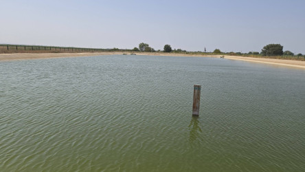 Aqrar sahənin inkişafı istiqamətində fermer və sahibkarlarla görüşlər davam etdirilir!